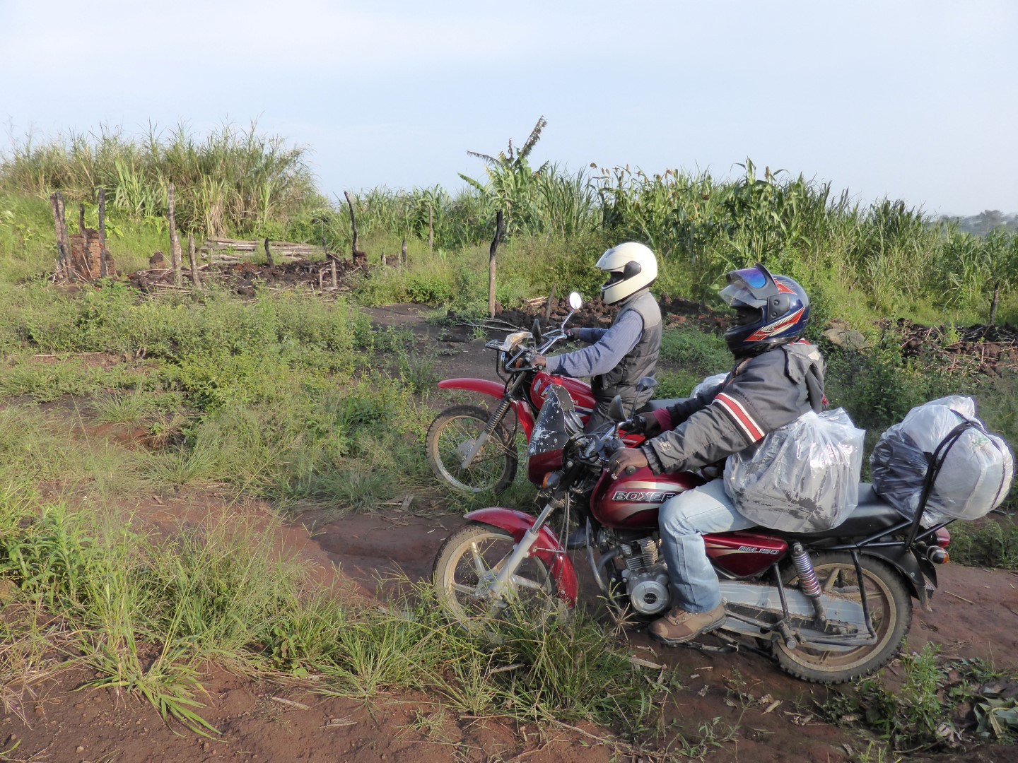 The dangers of going about the job in Congo