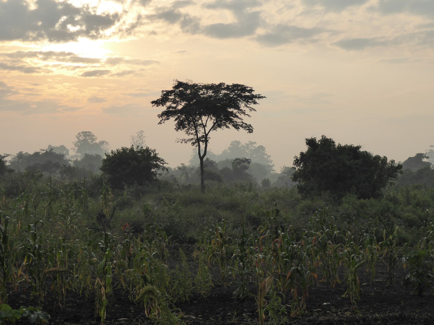 What’s going on in Congo?